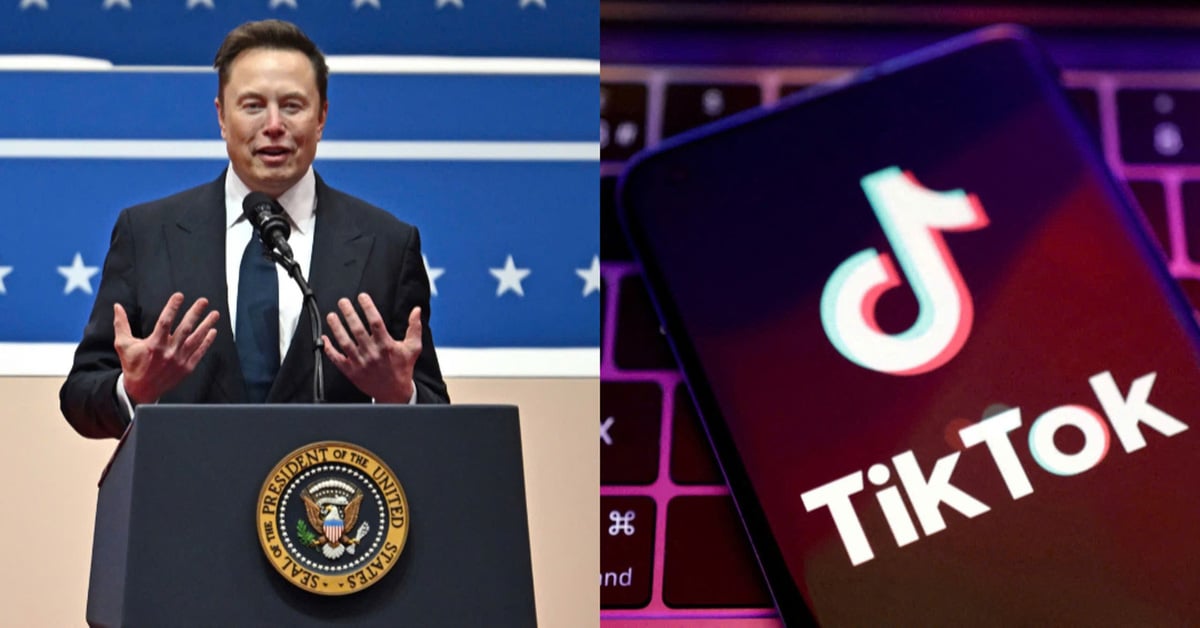 Elon Musk says he has no intention of buying TikTok