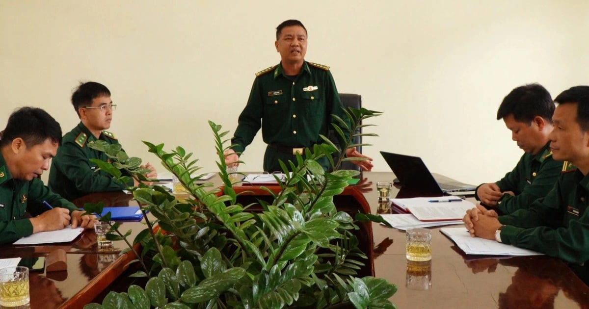 Nearly 600 trees were cut down at the border: What did Dak Nong Border Guards say?