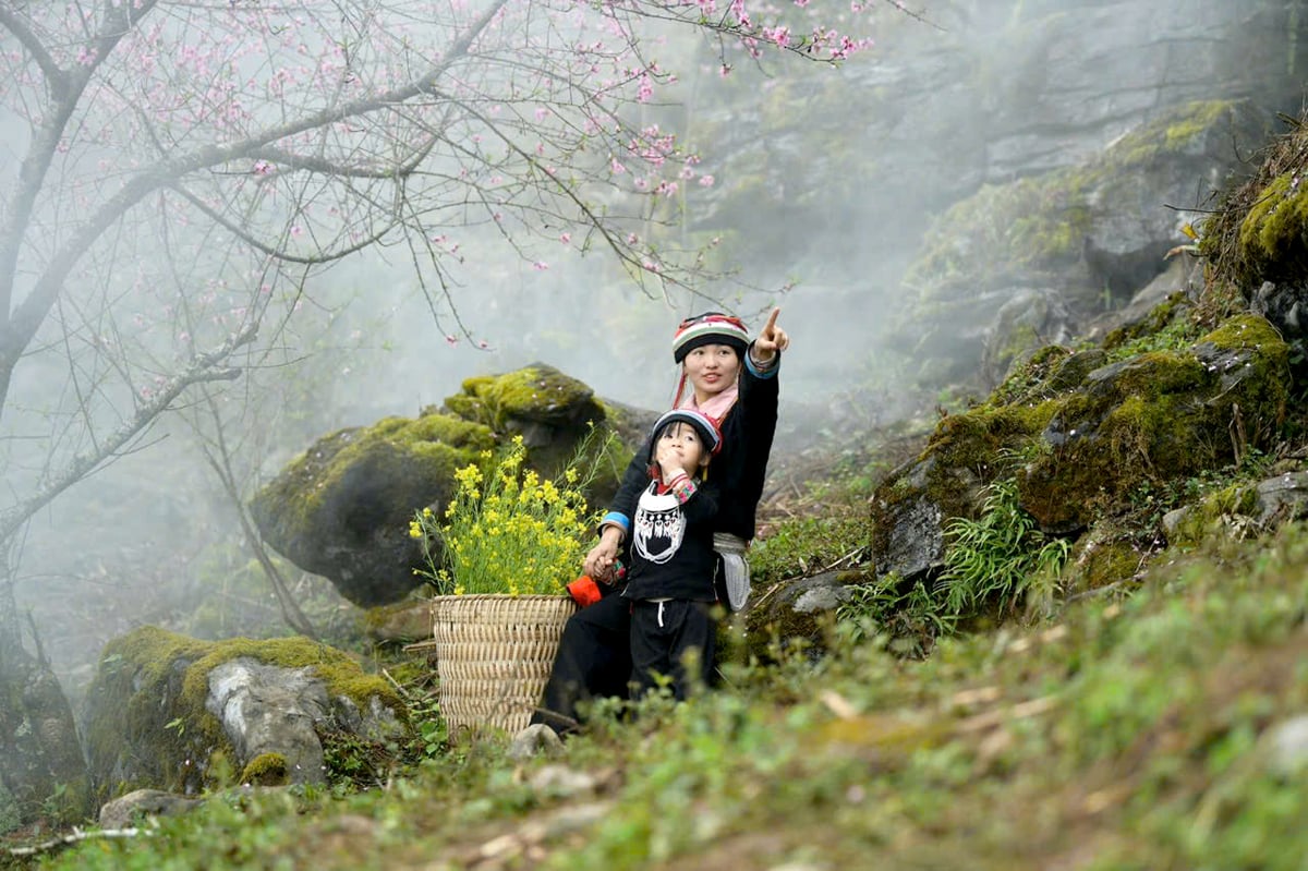 매력적인 여행지, 카오마포의 복숭아꽃 시즌.