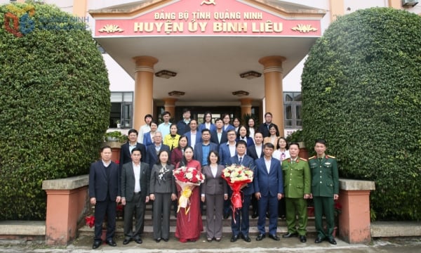 Mise en œuvre de la décision du Comité permanent du Parti provincial sur le travail du personnel de l'Association des agriculteurs de la province et du district de Binh Lieu