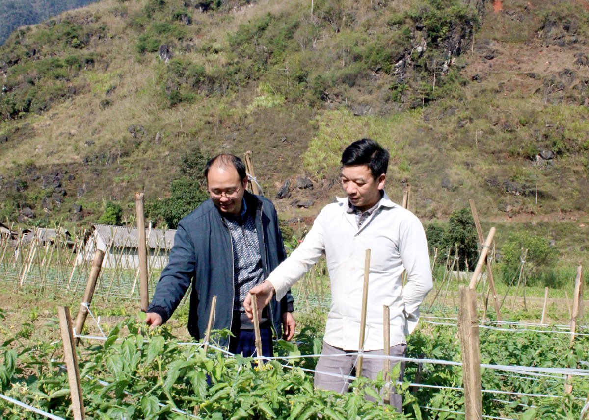 Quan Ba ​​​​La nueva primavera es brillante, avanza con firmeza hacia el futuro.