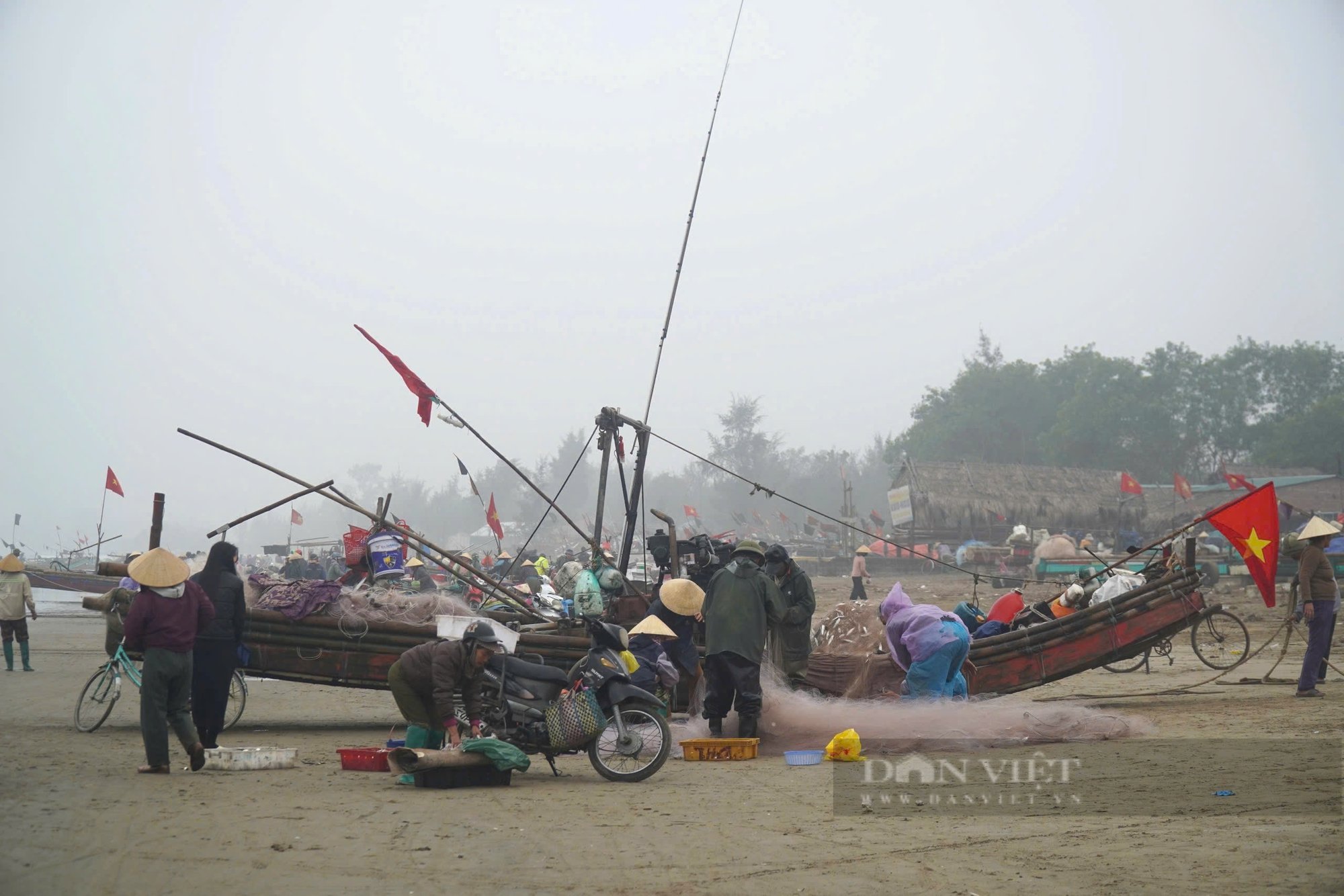 Ngư dân Thanh Hóa trúng đậm loài cá dồi dào dinh dưỡng, lên bờ thương lái tranh nhau mua- Ảnh 9.