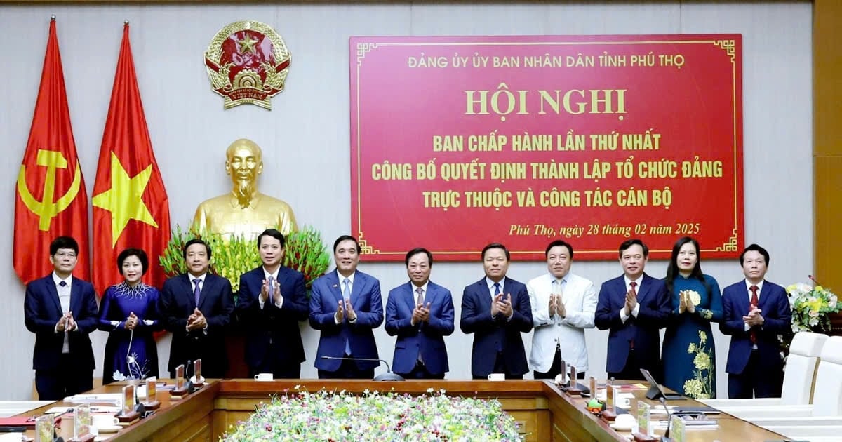 Công bố quyết định thành lập tổ chức Đảng trực thuộc và công tác cán bộ