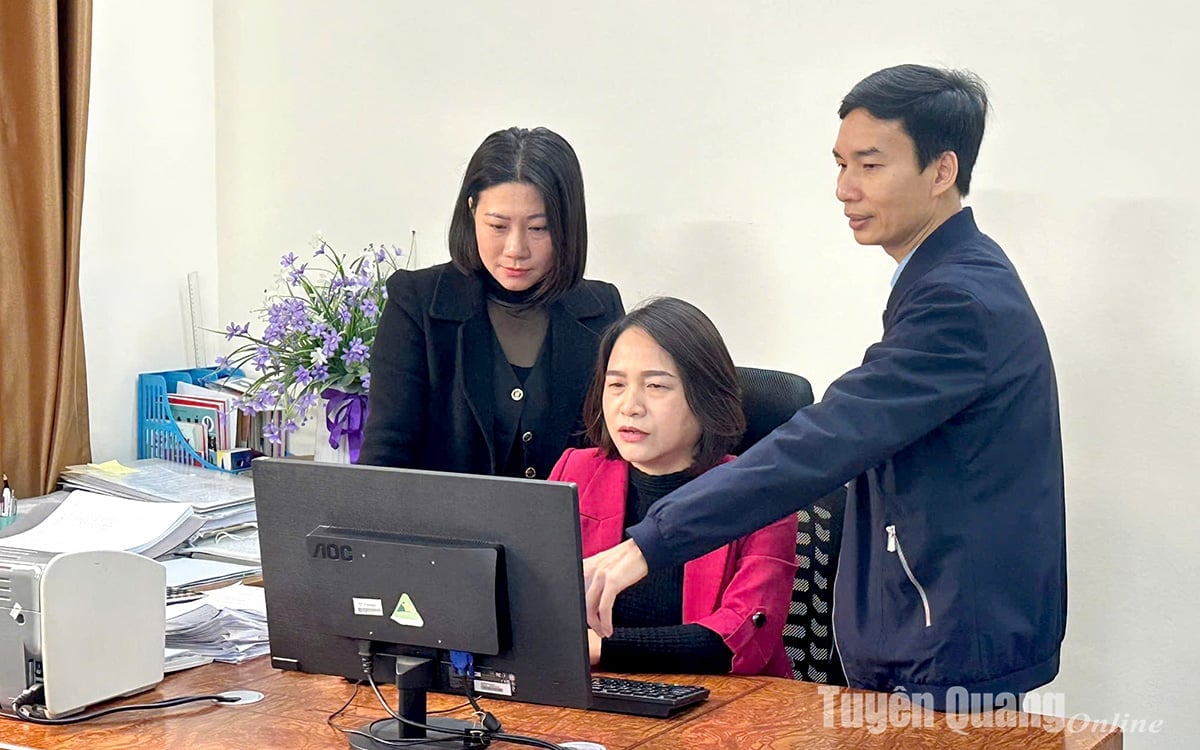 투옌꽝은 기구 배치 관련 문제 처리에 관한 규정을 시행합니다.