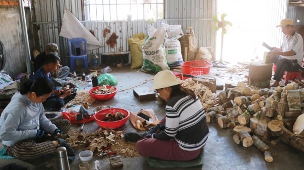 Let Van Thang incense fly far with community tourism