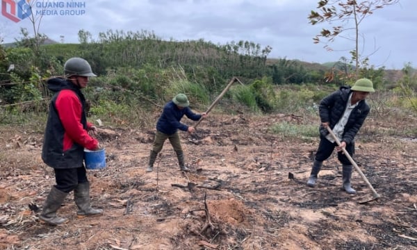 เกษตรกรเข้าสู่ฤดูกาลผลิตใหม่ด้วยความกระตือรือร้น