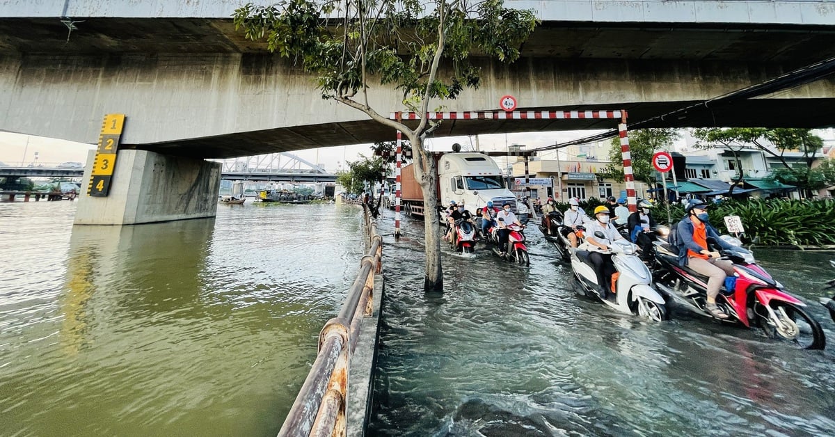 En mars, les services de Ho Chi Minh-Ville doivent achever de lever les obstacles au projet de prévention des marées de 10 000 milliards de VND.