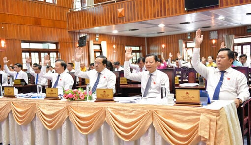 Long An Provincial People's Council (10th term) held a special session on February 20.