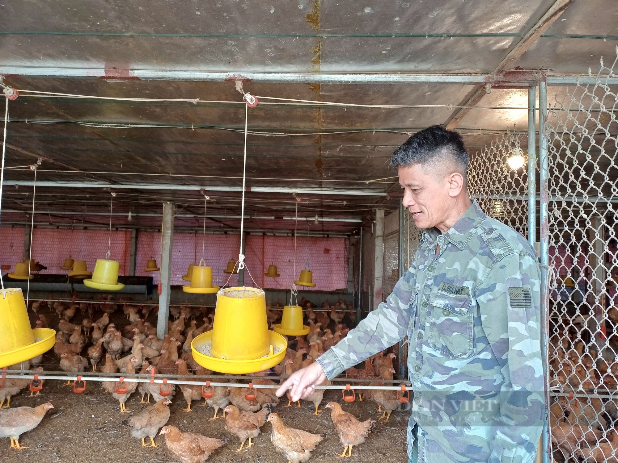 Gà rớt giá thê thảm, người chăn nuôi lao đao, nông dân Thái Nguyên mong được hỗ trợ vốn, tìm đầu ra  - Ảnh 2.