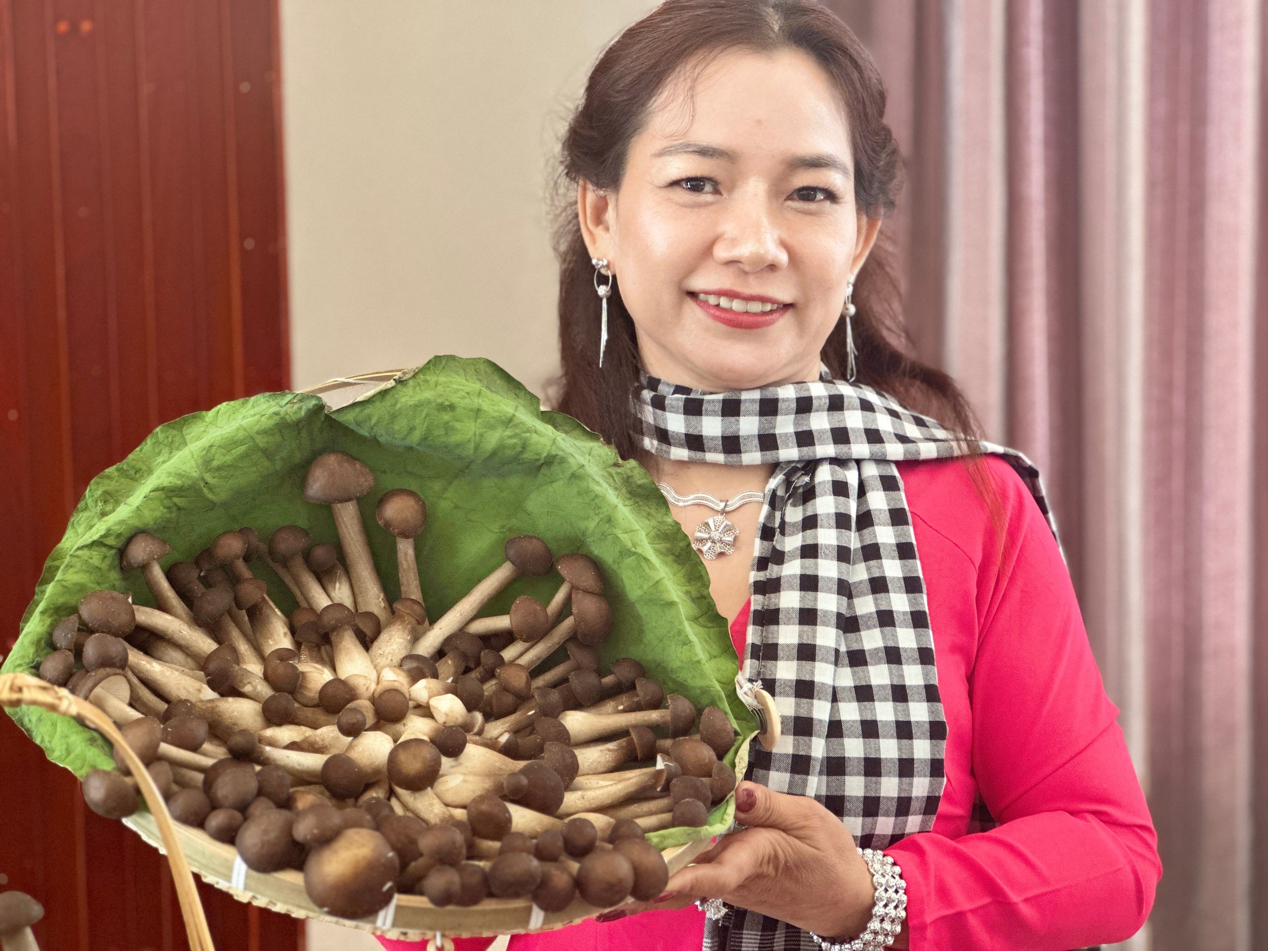 Chị nông dân An Giang trồng các loại nấm làm thuốc, tạo vô số việc làm, tăng thu nhập cho hộ nghèo- Ảnh 1.