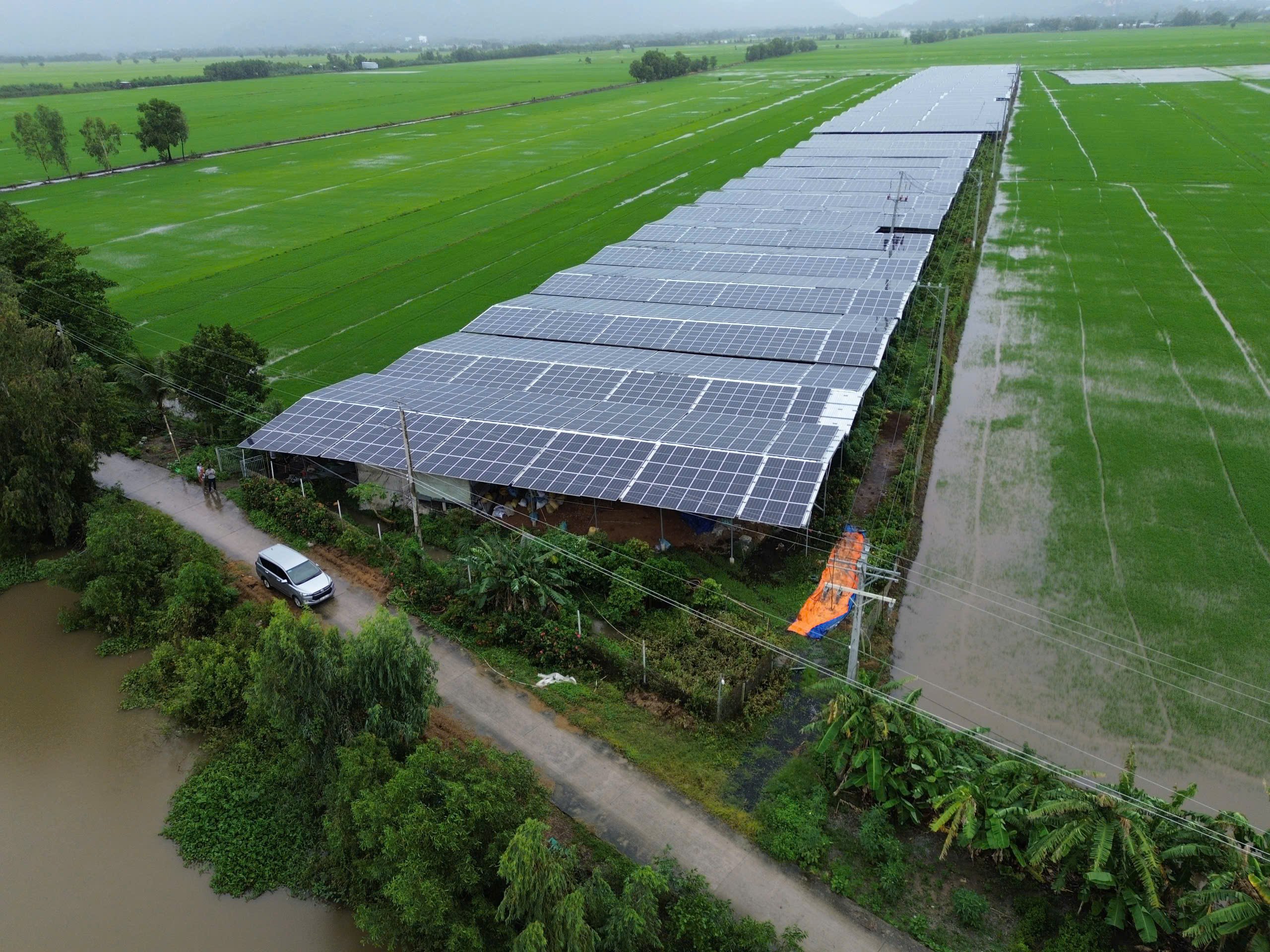 Chị nông dân An Giang trồng các loại nấm làm thuốc, tạo vô số việc làm, tăng thu nhập cho hộ nghèo- Ảnh 4.