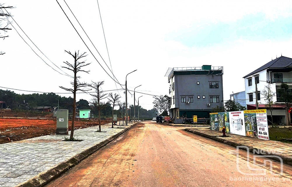 Site clearance work for the implementation of Residential Area Project No. 2 in Huong Son Town (Phu Binh) is being carried out vigorously, ensuring progress.