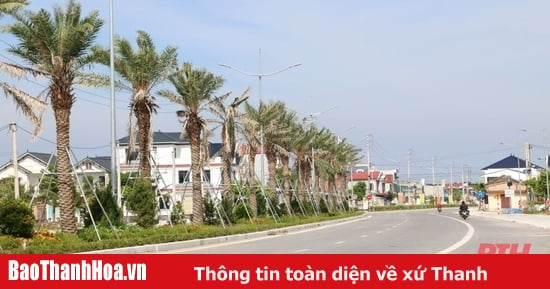 Chấn chỉnh, xử lý việc thao túng giá, đầu cơ bất động sản