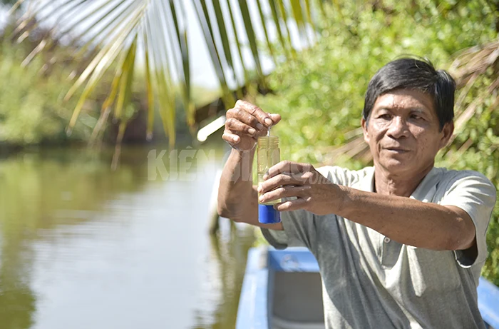 Shrimp farmers cope with drought and salinity