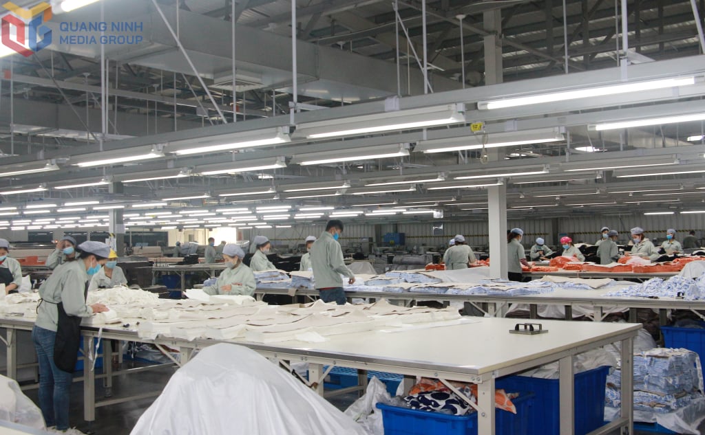 Production de produits textiles chez Hoa Loi Dat Vietnam Co., Ltd. (Parc industriel de Hai Ha). Photo : Manh Truong