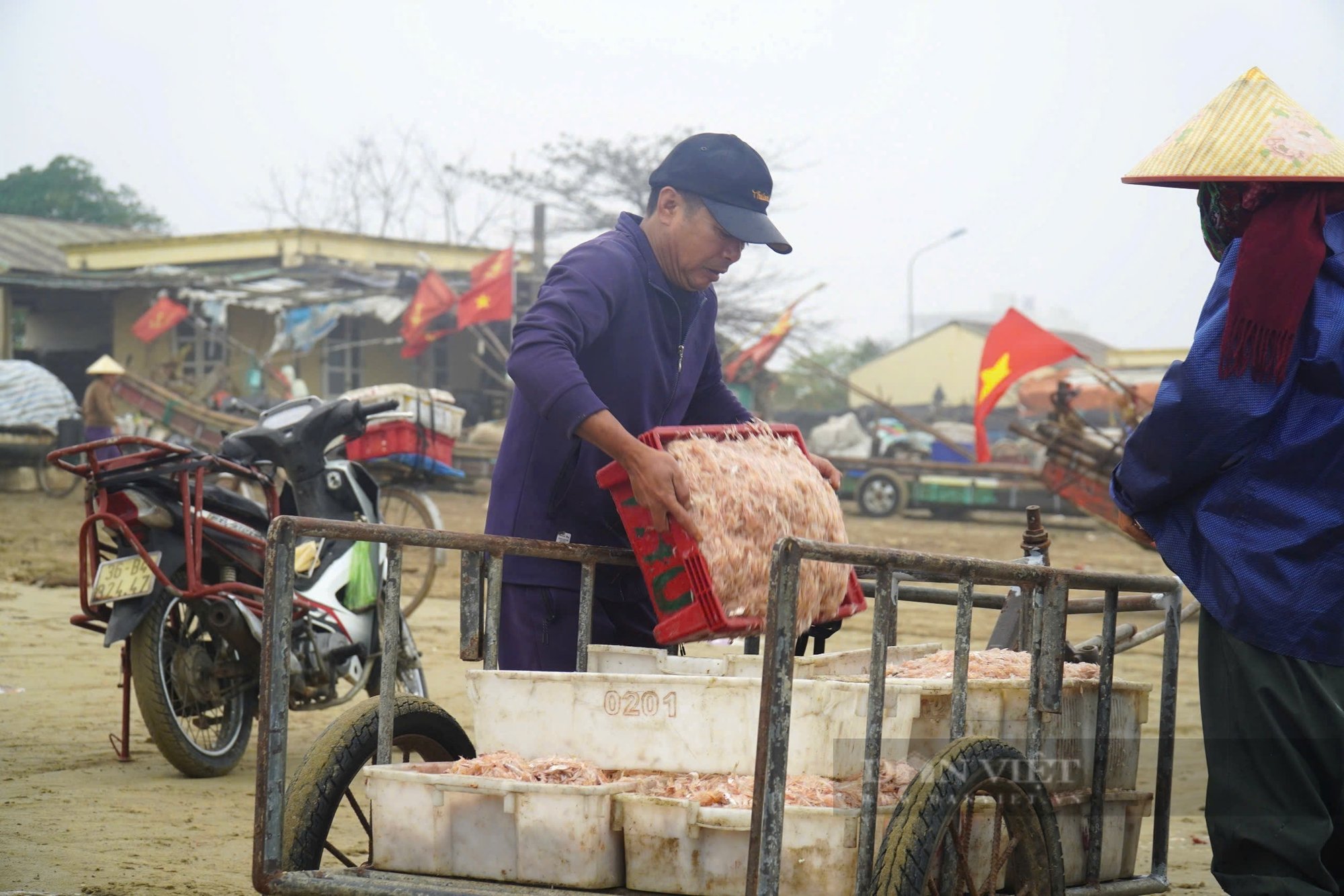 Ngư dân Thanh Hóa trúng đậm loài cá dồi dào dinh dưỡng, lên bờ thương lái tranh nhau mua- Ảnh 11.