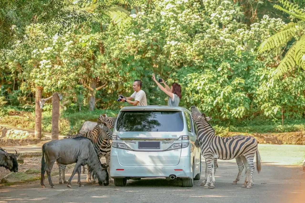 Du lịch Indonesia: Những điểm đến không nên bỏ lỡ