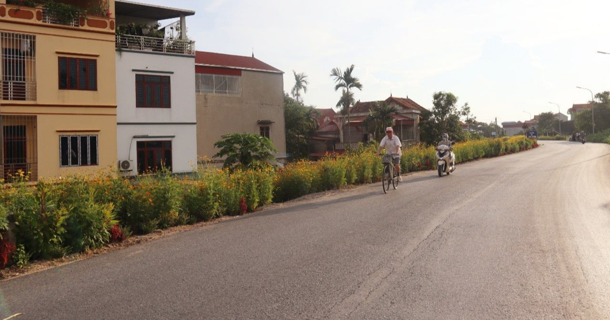 Construction d'une route reliant la digue de Tien Tan à l'école maternelle de Dan Phuong