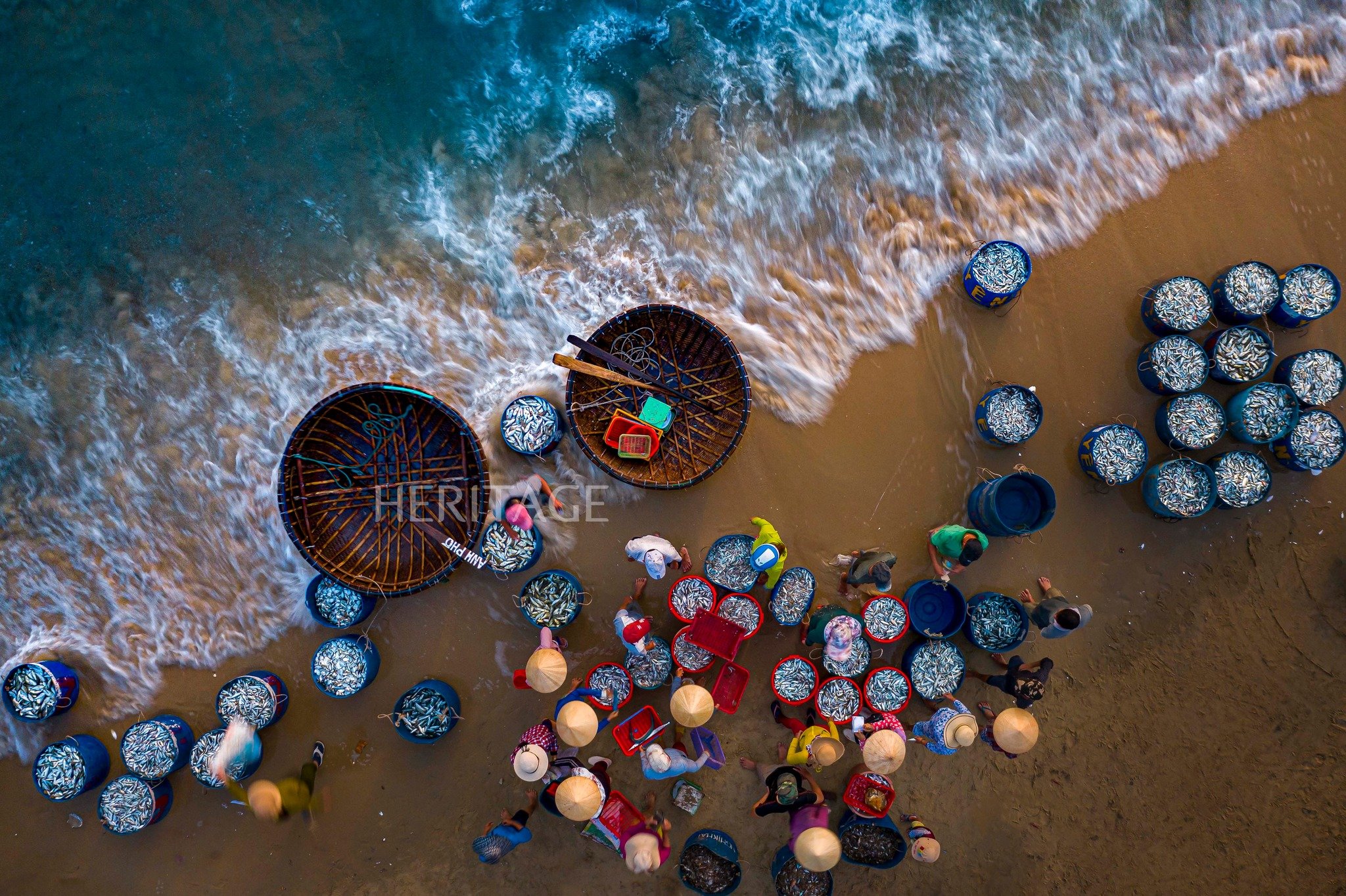 Quang Nam - Tam Tien fish market in the South