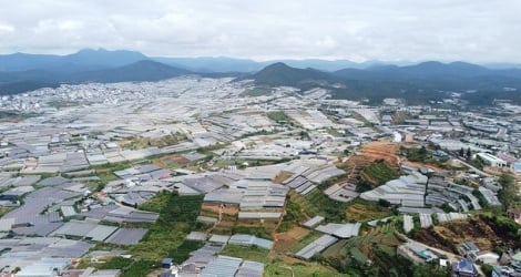 ประธานบริษัทลัมดองเรียกร้องให้ขจัดอุปสรรคในโครงการนอกงบประมาณอย่างเร่งด่วน