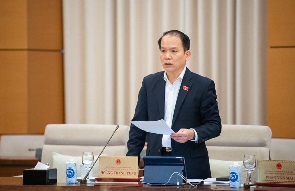 Der Vorsitzende des Ausschusses für Recht und Justiz der Nationalversammlung, Hoang Thanh Tung, spricht. Foto: Quochoi.vn