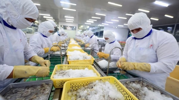 Vietnam's seafood industry "welcomes the wave" of new generation FTAs