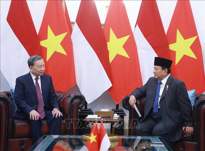 Le secrétaire général To Lam et le président de la République d'Indonésie, président du Parti du mouvement de la Grande Indonésie (Gerindra) Prabowo Subianto se sont rencontrés. Photo : VNA