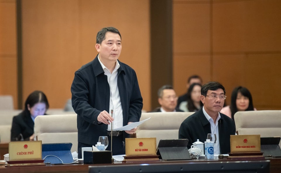 Der stellvertretende Finanzminister Cao Anh Tuan spricht bei dem Treffen. Foto: Quochoi.vn