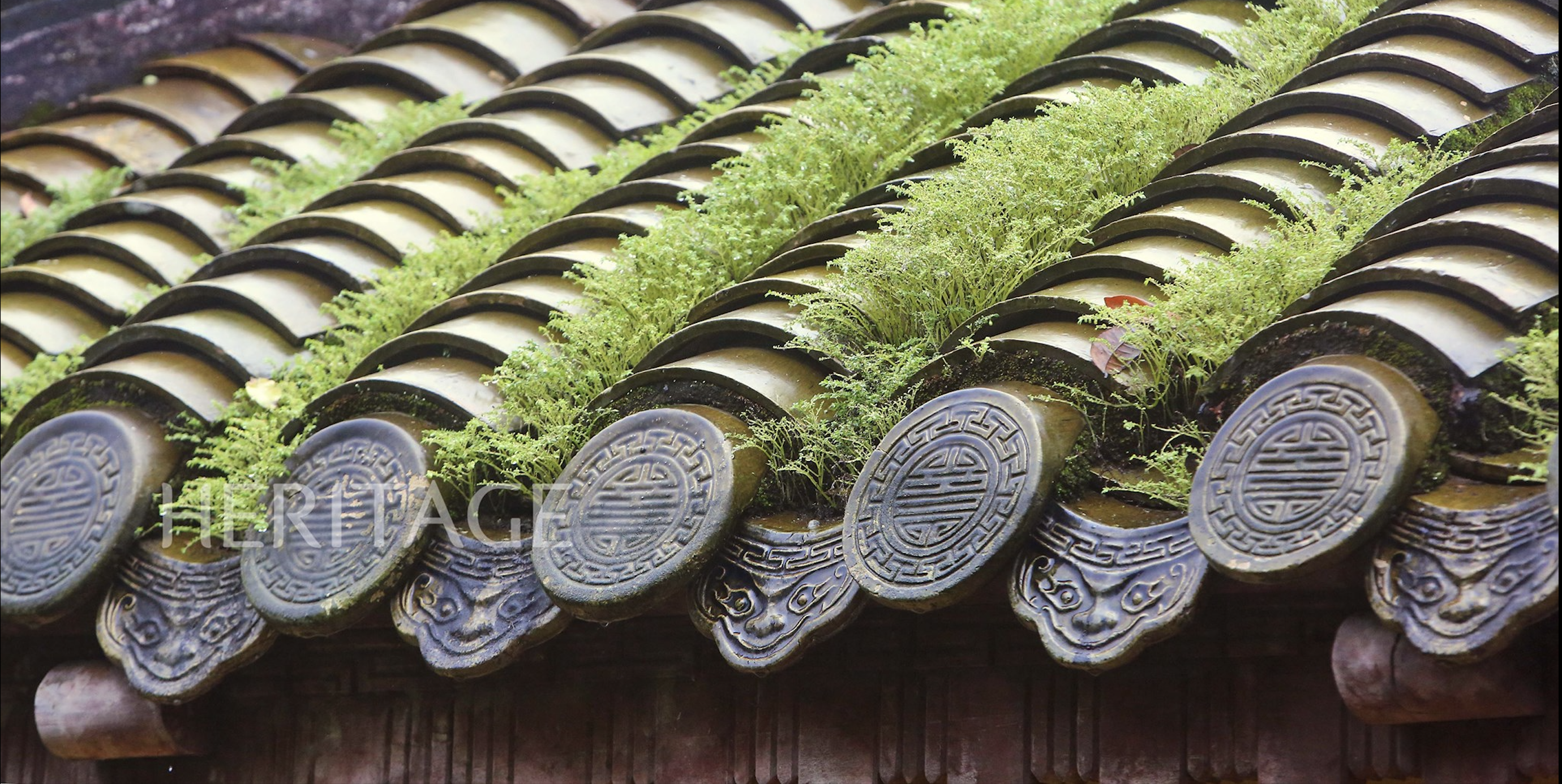 Close-up of strangely shaped rain gutters in Hue