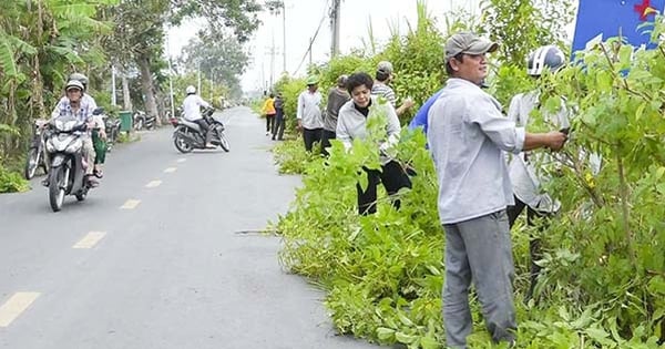 ティエンザン省のコミューンには美しい新しい田舎の花道があり、人々は自由に写真を撮ることができます。