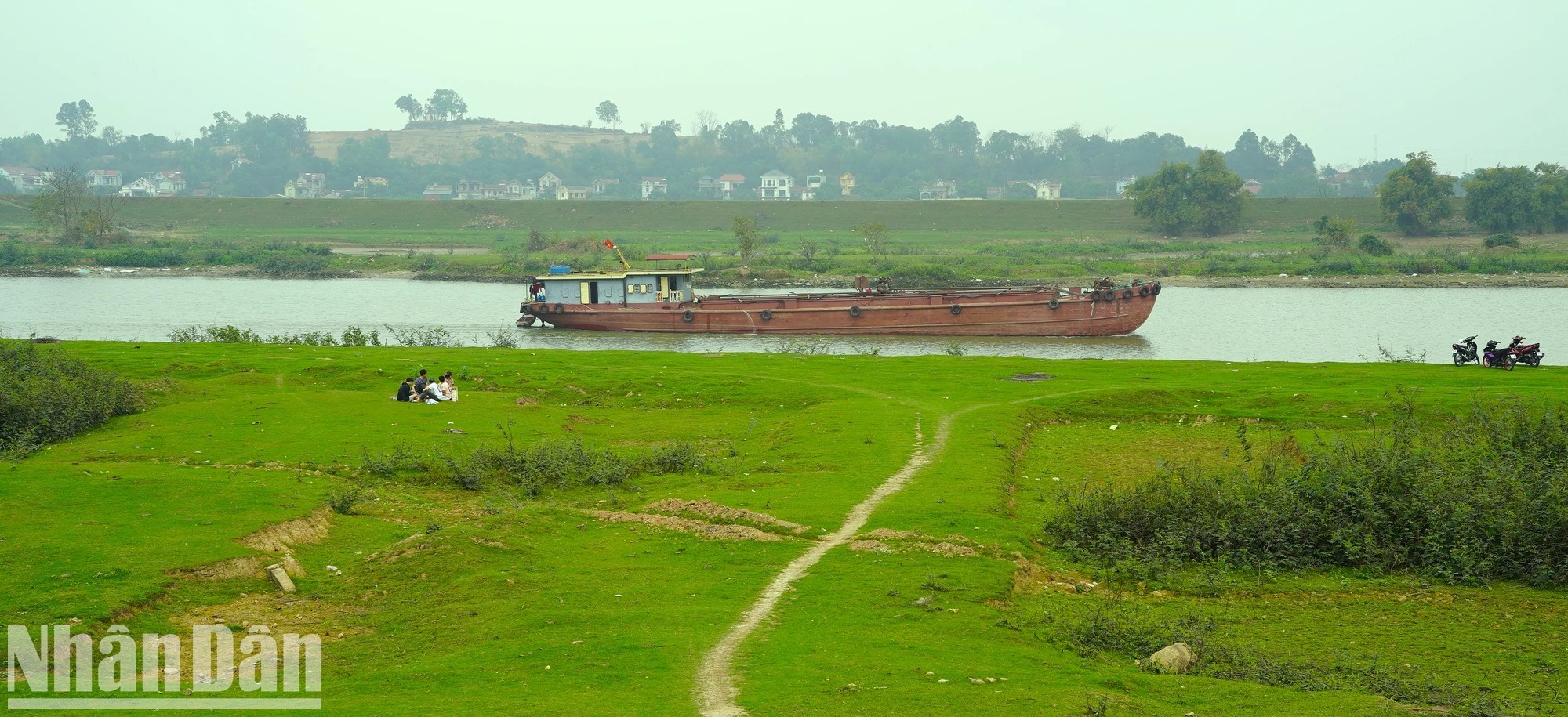 Cách Hà Nội 40km tại bờ đê của Bắc Ninh có một cây cổ thụ là cây cô đơn đẹp trong MV Bắc Bling - Ảnh 7.