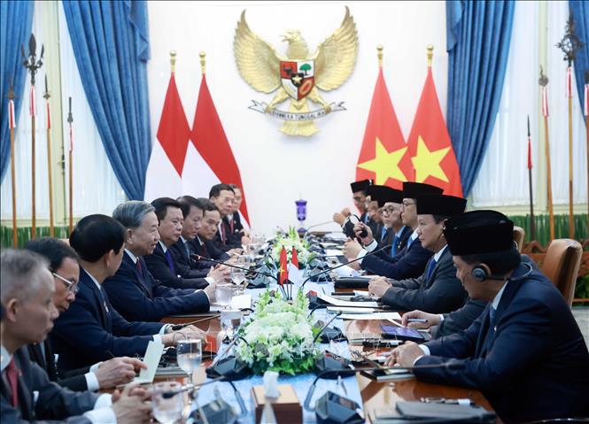 Le secrétaire général To Lam et le président de la République d'Indonésie, président du Parti du mouvement de la Grande Indonésie (Gerindra), Prabowo Subianto, ont eu des entretiens. Photo : VNA