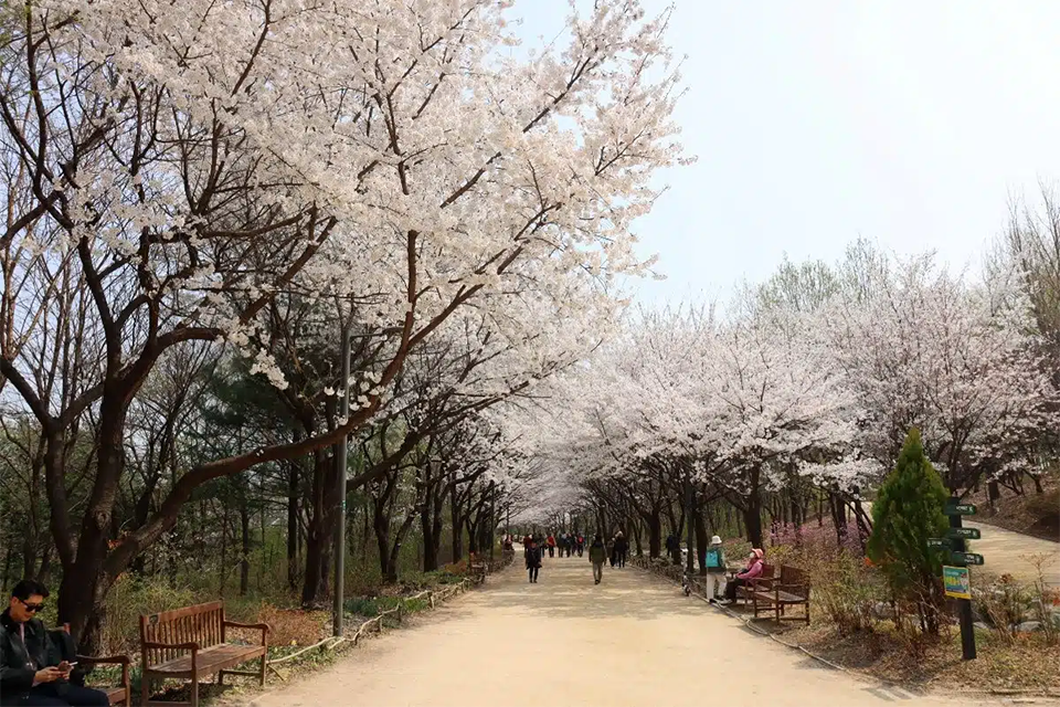 10 Touristenziele in Seoul, die Sie am 30. April nicht verpassen sollten