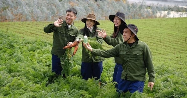 형사책임을 질 수 있나요?