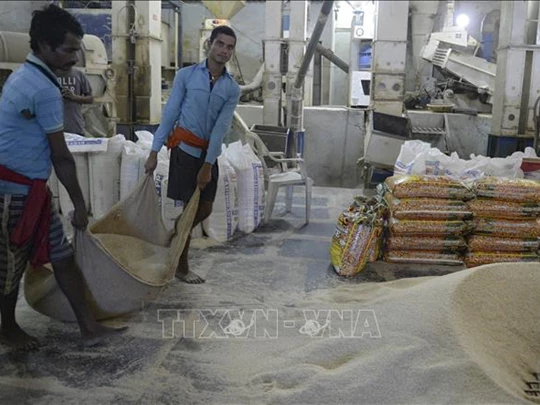 Un conseiller commercial vietnamien en Inde recommande des entreprises de riz