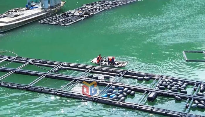 Quang Ninh focuses on solving and removing obstacles in aquaculture procedures