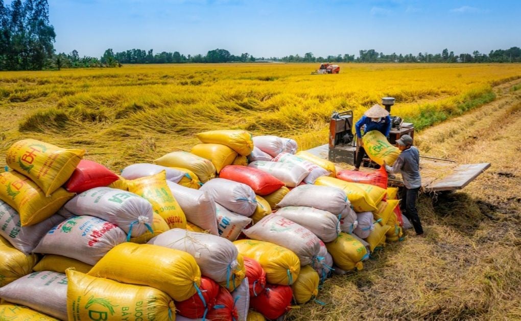 ការផ្លាស់ប្តូរជាបន្តបន្ទាប់ដើម្បី "បញ្ឈប់" ការធ្លាក់ចុះនៃតម្លៃនាំចេញអង្ករ