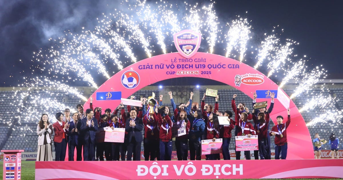 El equipo sub-19 Phong Phu Ha Nam ganó el campeonato, Hong Yeu recibió un honor especial