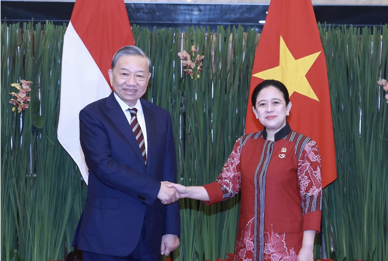 Promoting cooperation between the Vietnamese National Assembly and Indonesian legislatures