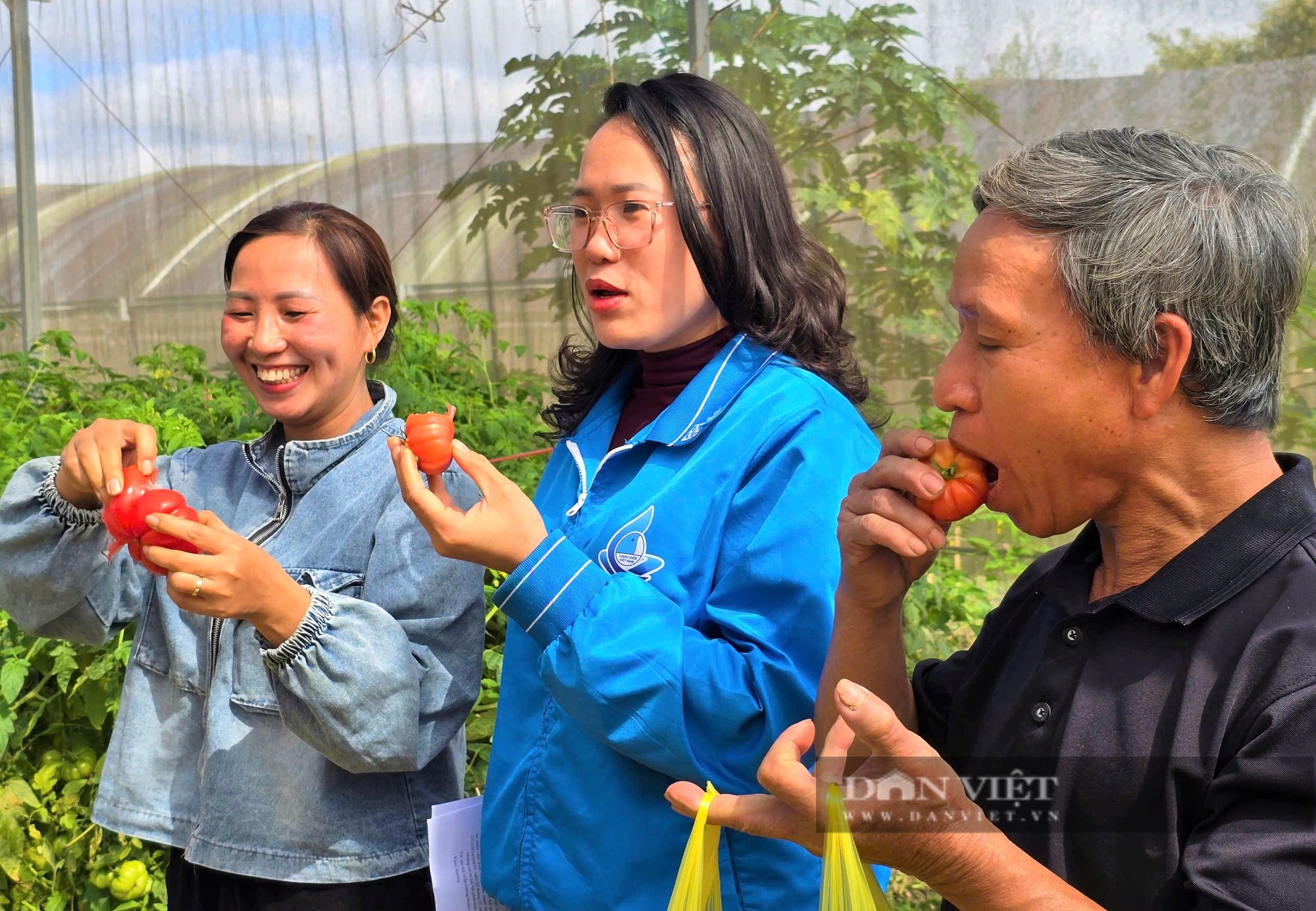 Bà chủ nhà hàng bước ngang sang làm nông nghiệp sạch, thắng lớn nhờ quả cà chua múi, lãi nửa tỷ đồng/năm - Ảnh 7.