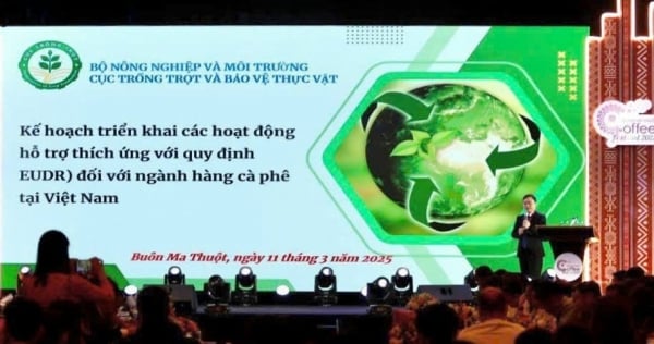 Cần xây dựng kế hoạch cụ thể để thích ứng với EUDR