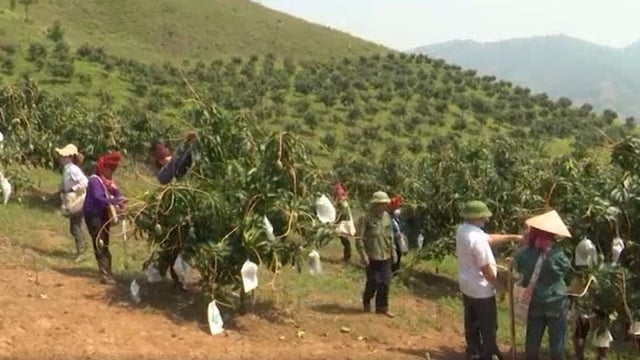 копировать множество хороших производственных и бизнес-моделей