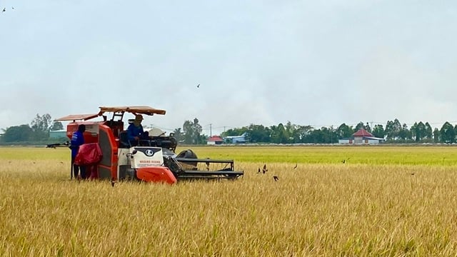 Promoting loans for rice production and business