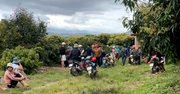 Encuentran muerto a un transportista en un campo desierto