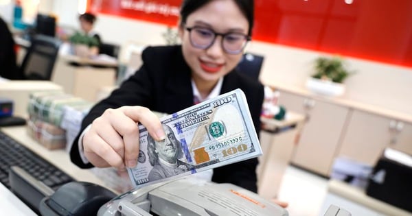 USD price plummets, latest forecast on exchange rate in Vietnam