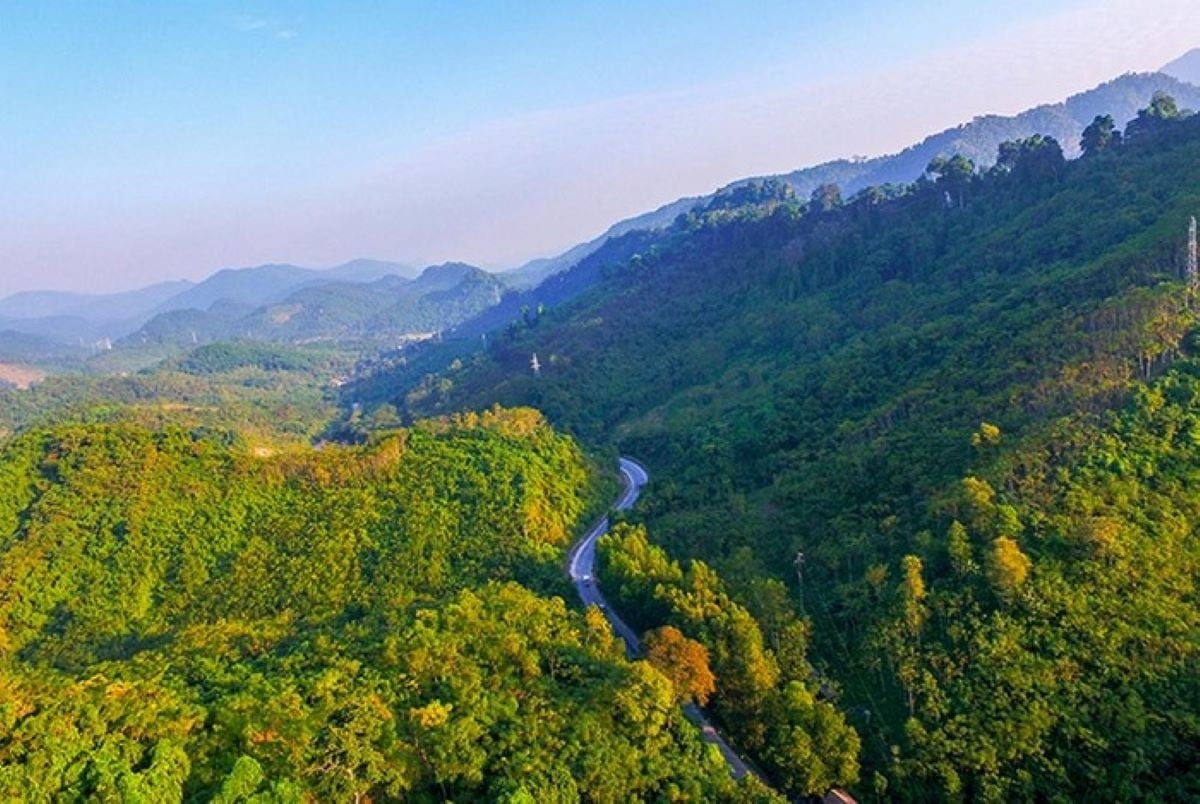 La industria forestal de Vietnam está experimentando una fuerte transformación hacia lo “verde” y la sostenibilidad.