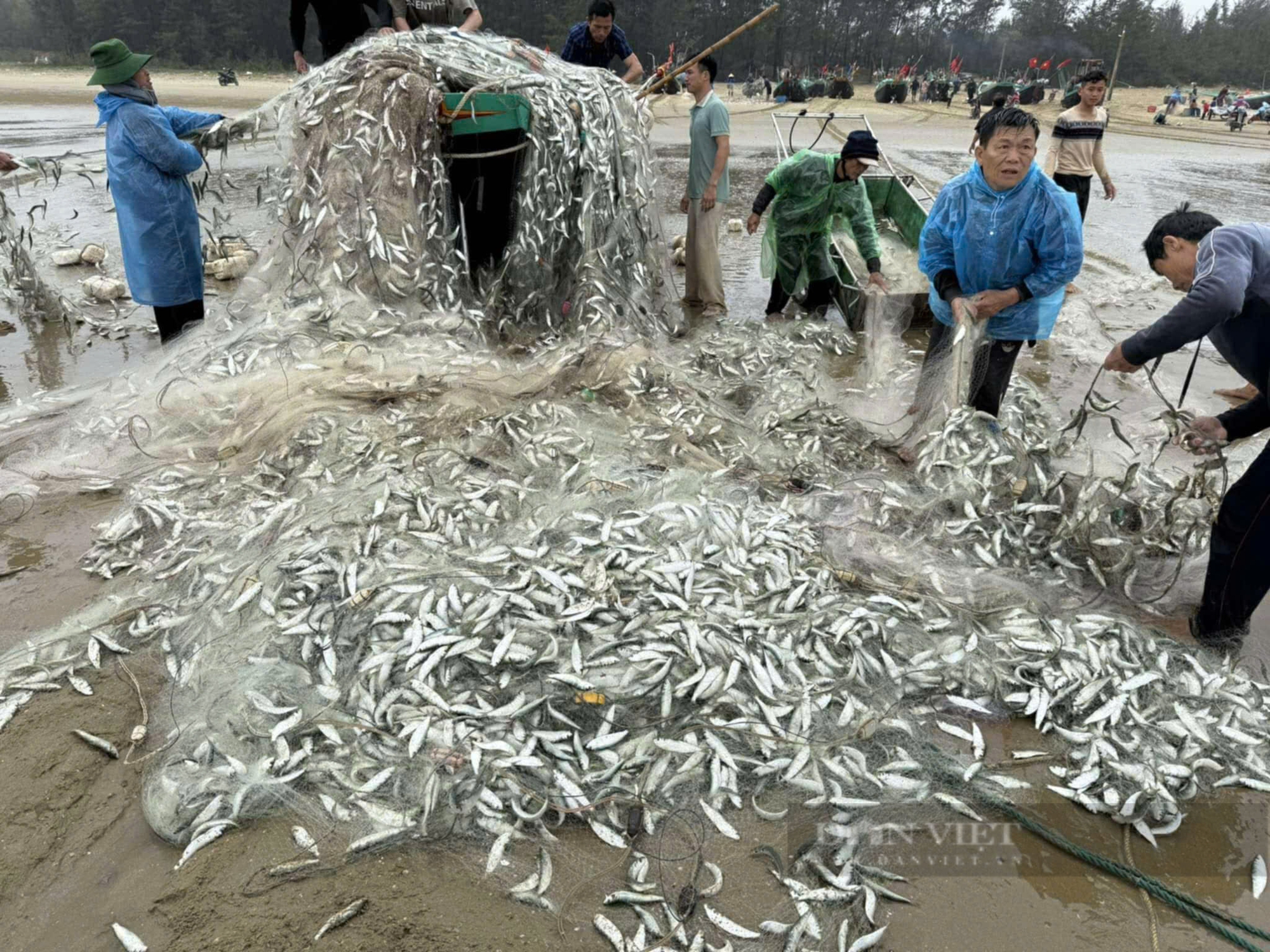Hà Tĩnh: Thuyền nhỏ gặp nạn, dân làng chung tay cứu hộ sau khi trúng đậm 1,5 tấn cá trích - Ảnh 2.