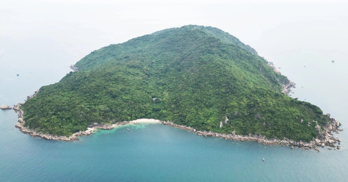 Da Nang Border Guards manage and protect Son Cha island from March 11