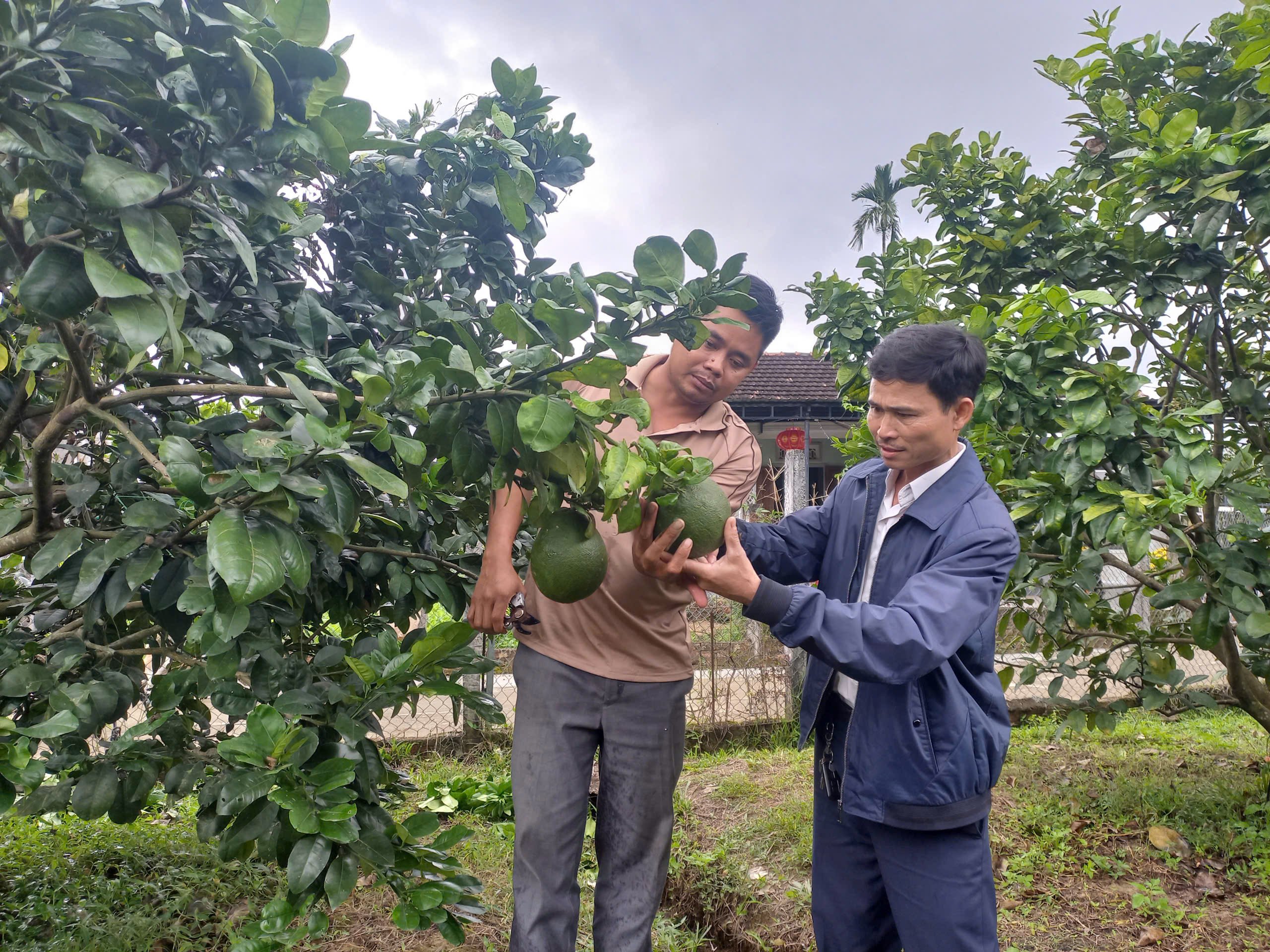 Nông thôn Quế An chuyển biến tích cực - Ảnh 5.