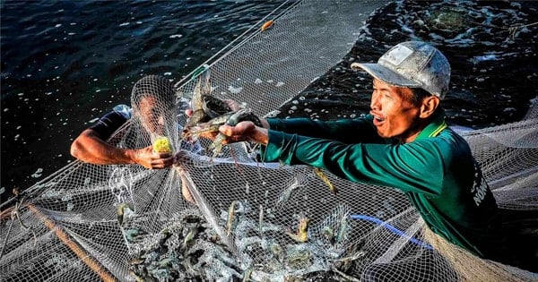 Thể lệ Hội thi và triển lãm ảnh nghệ thuật “Bến Tre